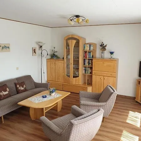 Deichrose Borkum