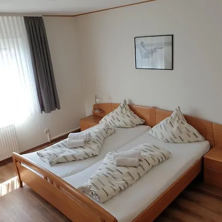 Deichrose Borkum